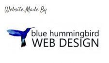 blue hummingbird web design